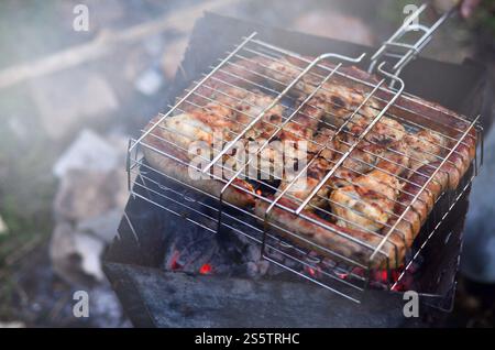 Shish kebab da ali di pollo fritto sono nel campo. Un classico barbecue all'aperto. Il processo di frittura carni su carbone di legna Foto Stock