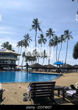 Maggiori informazioni: Tangerine Beach Hotel piscina con lettini e ombrelloni sotto le palme tropicali, incluso il Pool Bar Foto Stock