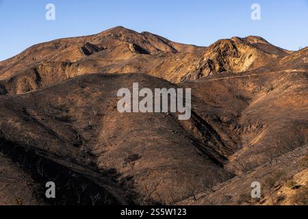 Palisades Fire Aftermath. Iniziano le operazioni di pulizia e riparazione dell'infrastruttura. I residenti non sono ancora ammessi, e la Guardia Nazionale è in posizione per contrastare i saccheggiatori e i turisti. 1/14/2025 Pacfic Palisades, CA. USA. (Foto di Ted Soqui/SIPA USA) credito: SIPA USA/Alamy Live News Foto Stock