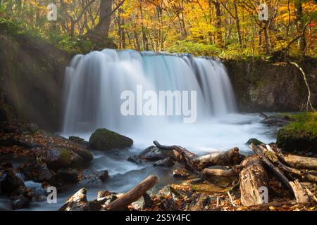 La bellezza delle cascate Choshi Otaki, parte del torrente Oirase, non lontano dal lago Towada in autunno, dalla città di Aomori, dalla regione di Tohoku, in Giappone Foto Stock