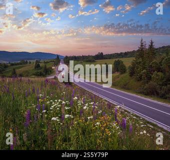 Pittoresco crepuscolo Giugno Carpazi montagna campagna prati e autostrada. Abbondanza di vegetazione e bellissimi fiori selvatici. Foto Stock