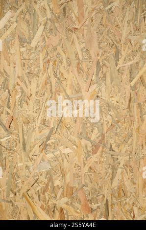 Sfondo del pannello OSB in legno pressato. Primo piano della struttura verticale della scheda di trefolo orientata. Sfondo del pannello OSB in legno pressato. Trama verticale di Foto Stock