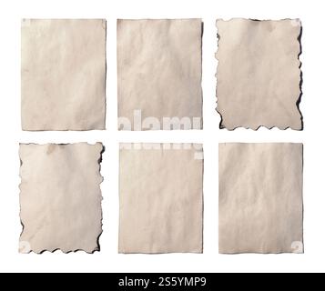 Set di vecchi pezzi bianchi di antico manoscritto di carta sbriciolata vintage o pergamena orientati verticalmente isolati su bianco. Set di vecchi pezzi vuoti di Foto Stock