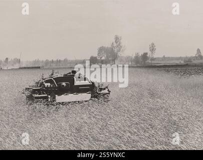Cannone d'assalto tedesco StuG III Ausf. B in un campo di grano in URSS - documento storico, fotografo sconosciuto Foto Stock