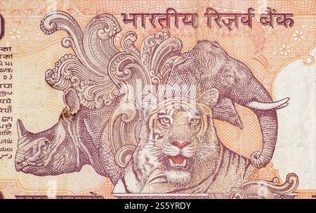Rinoceronte elefante e tigre raffigurati sulla banconota indiana da dieci rupie. 10 Rupia valuta nazionale dell'India INR. Primo piano della banconota Orange Money. Elefante Foto Stock