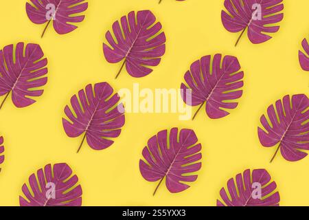 Le foglie tropicali di palma monstera giacciono su una carta color pastello. Modello di concetto estivo natura. Composizione piatta. Vista dall'alto. Monstera di palme tropicali Foto Stock