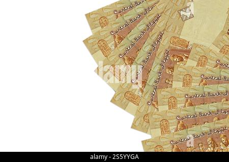 1 libbra egiziana è isolata su sfondo bianco con spazio per le copie. Un ricco background concettuale. Grande quantità di ricchezza monetaria nazionale. 1 Foto Stock