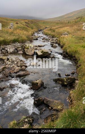 Tallas brucia in alto sopra la valle superiore di Tweed e il lago artificiale di Talla, Tweedsmuir, Scottish Borders Foto Stock