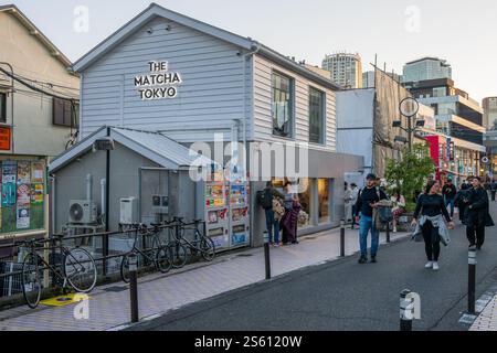 Cat Street, Tokyo, Giappone Foto Stock