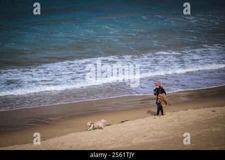 Persone che camminano con cani sulla spiaggia di la Concha in inverno a San Sebastian, Paesi Baschi. Foto Stock