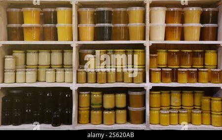Barattoli di diverse varietà di miele riforniti su uno scaffale. Lavanda, tiglio e miele misto da vicino. Barattoli di diverse varietà di miele riforniti su a. Foto Stock