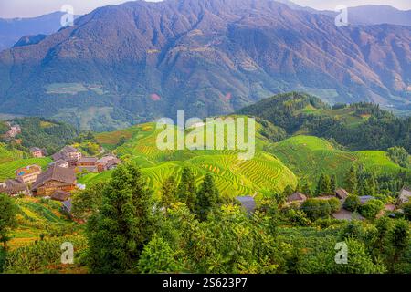 Sette stelle accompagnano la Luna, parte della dorsale del Drago, o Longji Rice Terraces, situata vicino al villaggio di Ping'an nel northe Foto Stock