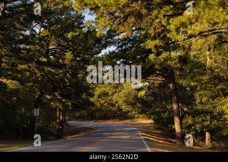 Strada asfaltata costeggiata da alberi che conduce al Sequoyah State Park di Hulbert, Oklahoma, USA Foto Stock