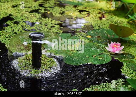 Una piccola fontana d'acqua in un laghetto con ninfee e ninfee Foto Stock