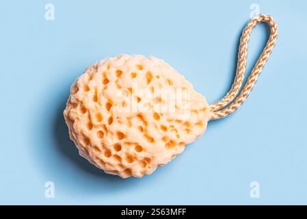 spugna idrofila per il corpo su sfondo blu pastello. superficie in spugna in poliuretano delicato primo piano. Foto Stock