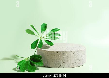 Podio vuoto in calcestruzzo con foglie verdi su sfondo verde chiaro, spazio di copia. Vetrina scenica concettuale per prodotti cosmetici, eco-pelle biologica CA Foto Stock
