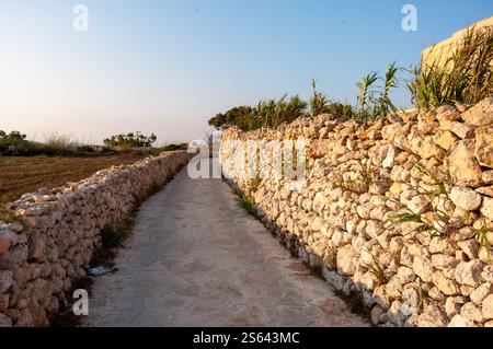 Un sentiero è fiancheggiato da rocce e piante. Il sentiero è stretto e tortuoso, che conduce a un muro. Il muro è fatto di pietra ed è ricoperto di piante. Lo scen Foto Stock