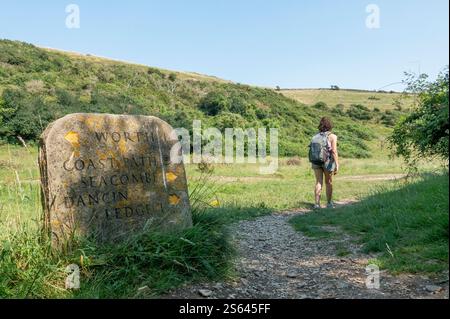 L'escursionista cammina accanto a un cartello in pietra che segna il South West Coastal Path a Seacombe, circondato da una vegetazione lussureggiante in una giornata di sole a Purbeck, Dorset, Inghilterra Foto Stock