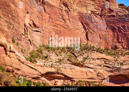 Torreggiante parete del Canyon nel Parco Nazionale di Zion con vista a livello dell'occhio Foto Stock