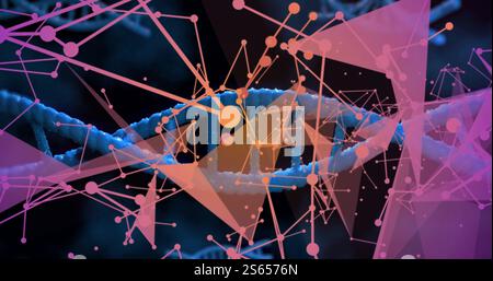 Immagine di una rete di connessioni su filamenti di dna Foto Stock