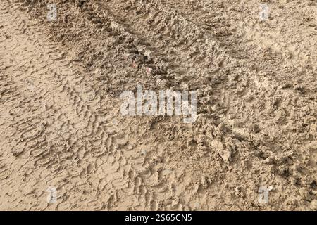 Carreggiata su fango. Tracce di un trattore o di un'auto fuoristrada pesante su fango marrone in un prato bagnato. Carreggiata su fango. Tracce di un trattore o fuoristrada pesante Foto Stock