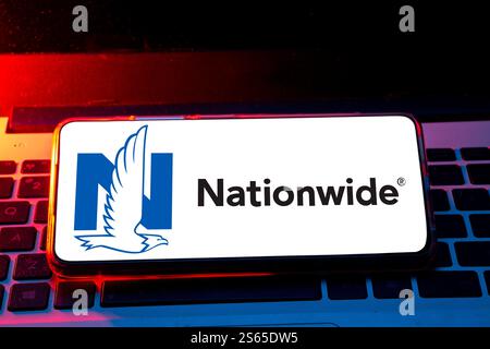 Pringsewu, lampung; 13 gennaio 2025; primo piano del logo della National Mutual Insurance Company su uno schermo di smartphone e laptop. Concentrati sul telefono Foto Stock