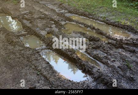 Primi piani di piste fangose con pozzanghere su superfici fangose bagnate nel sentiero forestale Foto Stock