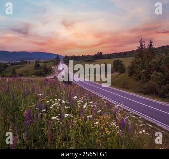 Pittoresco crepuscolo Giugno Carpazi montagna campagna prati e autostrada. Abbondanza di vegetazione e bellissimi fiori selvatici. Foto Stock