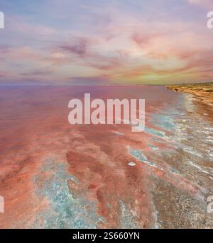Rosa estremamente salato Lago Syvash colorati, da microalghe con sale cristallino deposizioni. Noto anche come il mare in putrefazione o mare marcio. L'Ucraina, Foto Stock