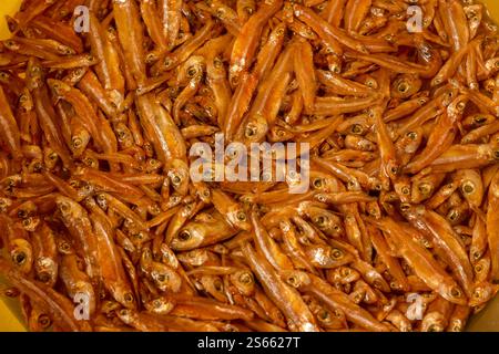 Matemba o Kapenta Fish (Limnothrissa miodon, Lago Tanganyika Sardine), una fonte di cibo in alcuni paesi africani, immersi prima della preparazione Foto Stock