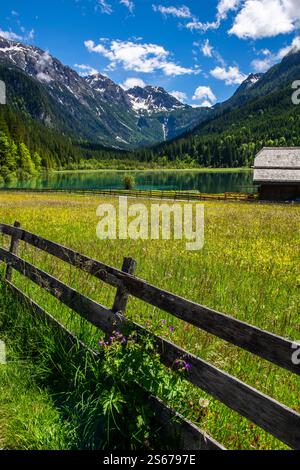 Idilliaca scena estiva sul lago Jägersee, Austria Foto Stock