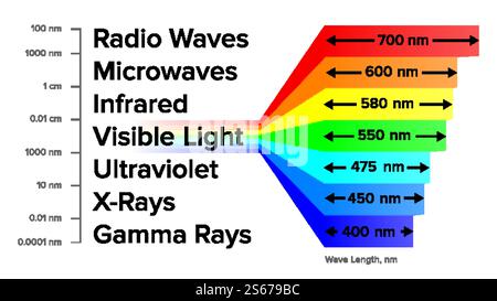 Vettore dello schema di informazioni sullo spettro elettromagnetico. Onde radio e microonde, luce a infrarossi e visibile, ultravioletti, raggi X e raggi gamma struttura elettromagnetica. Illustrazione. Vettore schema raggi gamma informazioni spettro elettromagnetico Illustrazione Vettoriale