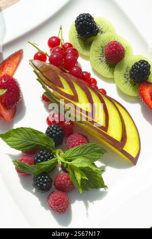 Disposizione colorata della frutta sul piatto con kiwi, bacche e esposizione di affettatura artistica Foto Stock