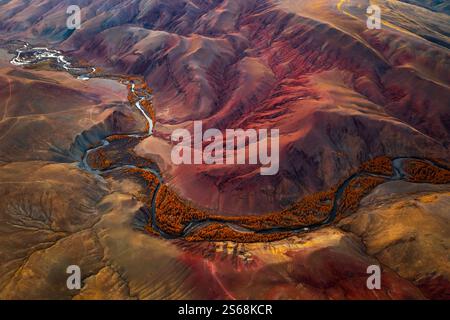 Maestoso paesaggio che mostra i vibranti colori autunnali delle montagne dell'Altai e del tortuoso fiume dall'alto Foto Stock