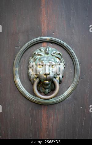 Vista della maniglia di una porta a forma di leone Foto Stock