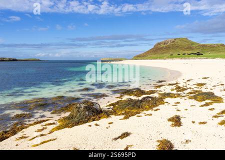 Coral Beach Scotland at Claigan vicino a Dunvegan Isle of Skye Scozia Regno Unito Europa Foto Stock