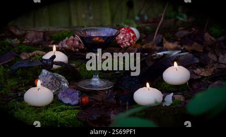 Un bicchiere di vino rosso, candele, frutti di bosco su uno sfondo muscoloso. Foto Stock