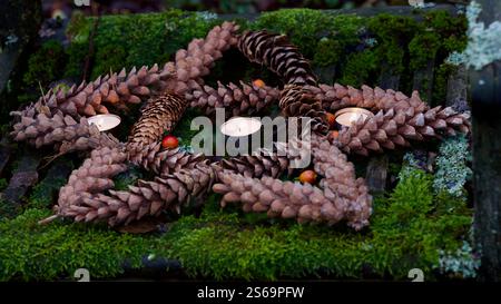Un pentagramma fatto di coni di abete su sfondo muscoloso. Foto Stock