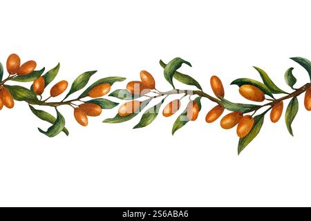 Bordo senza cuciture con rami di spina dorsale. Illustrazione acquerello con bacche di arancia matura su sfondo isolato. Per le etichette sui prodotti cosmetici, Foto Stock