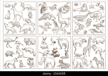 Uccelli mammiferi e anfibi animali selvatici specie abbozzano icone foresta vettoriale e mare sudamericano e creature australiane asiatiche e africane conigli e cervi bradipi e leopardi foca e canguro di balena. Specie di animali selvatici icone di schizzi uccelli mammiferi e anfibi Illustrazione Vettoriale