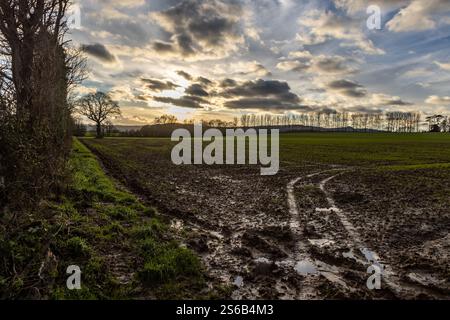 Si affaccia su un paesaggio rurale di una fattoria del Sussex con fango nel campo dopo le piogge Foto Stock
