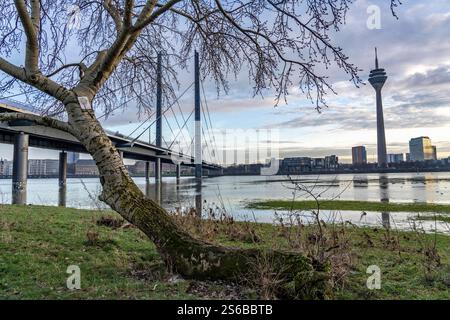 Blick auf die Rheinkniebrücke über den Rhein bei Düsseldorf, von den Rheinwiesen in Düsseldorf-Oberkassel, Rheinturm, NRW, Deutschland Düsseldorf Brücken *** Vista del ponte Rheinknie sul Reno vicino a Düsseldorf, dai prati del Reno a Düsseldorf Oberkassel, dalla torre del Reno, NRW, Germania Düsseldorf Ponti Foto Stock