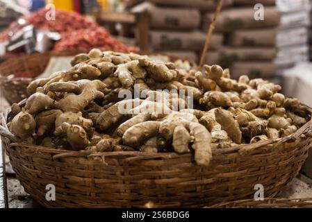 Zenzero in vendita in un mercato. Radice commestibile ricca di vitamina B6. Concetto di alimentazione sana. Foto Stock