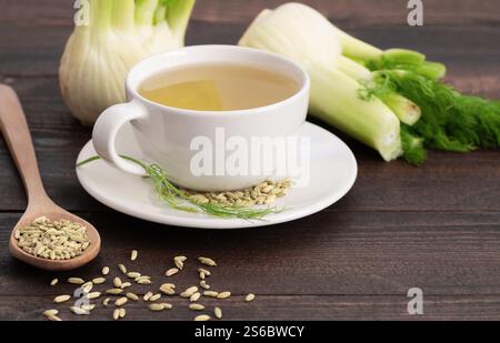 Tè al finocchio infuso a base di erbe in tazza di vetro o tazza con semi di finocchio essiccati e bulbi di finocchio. Concetto di base della medicina alternativa (Foeniculum vulgare) Foto Stock