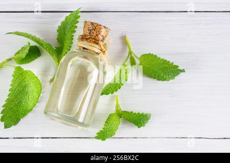 Bottiglia in vetro di olio essenziale di melissa (balsamo del limone) con foglie di melissa fresche, concetto di erboristeria, aromaterapia Foto Stock