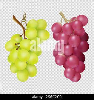 Uva realistica isolata su sfondo trasparente. Grappoli vettoriali di uve rosse e bianche. Illustrazione del cibo dell'uva, della succosa vendemmia rossa e bianca. Uva realistica isolata su sfondo trasparente. Grappoli vettoriali di uve rosse e bianche Illustrazione Vettoriale