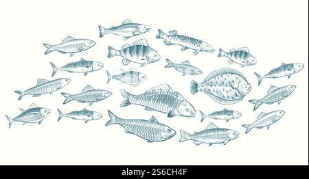 Illustrazione vettoriale del pesce disegnata a mano. Banner di vita subacquea per il menu del ristorante. Pesce sott'acqua, schizzi di cibo oceanico. Illustrazione vettoriale del pesce disegnata a mano. Banner di vita subacquea per il menu del ristorante Illustrazione Vettoriale