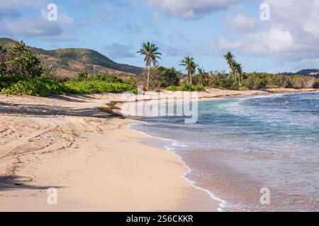 La spiaggia privata del Buccaneer Hotel a St Croix nelle Isole Virign offre sabbia bianca, acque turchesi e angoli appartati. Foto Stock