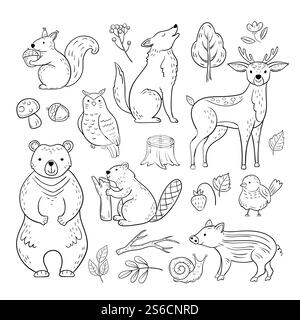 Animali della foresta di Doodle. Set disegnato a mano da un vettore disegnato a mano da un carino scoiattolo lupo orso cervo lumaca per bambini. Illustrazione di gufo animale e scoiattolo, lupo e castoro. Animali della foresta di Doodle. Set disegnato a mano da un vettore disegnato a mano da un carino scoiattolo lupo orso cervo lumaca per bambini Illustrazione Vettoriale