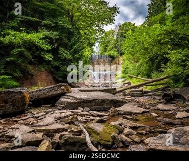 Indian Falls in ON, Canada, cascate si inseriscono graziosamente in un bacino roccioso, circondato da vegetazione lussureggiante. Tranquillo rifugio naturale perfetto per avventure all'aperto. Foto Stock
